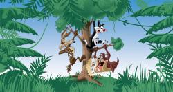 Warner Bros Wallpaper