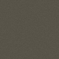 OP32373 — Mink