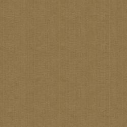 OP1205 — Camel
