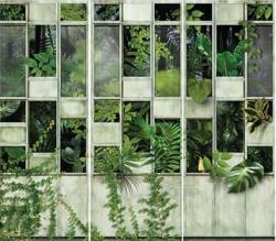 Tropical jungle leaves wall mural - M706 - from SEVEN vol.1 wallpaper collection by Adawall