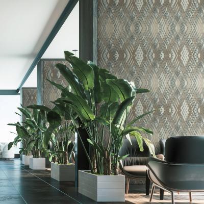 OCTAGON KOLEKSİYONU