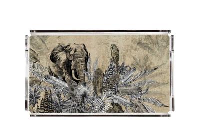 Plexy Tray Collection - PT2121