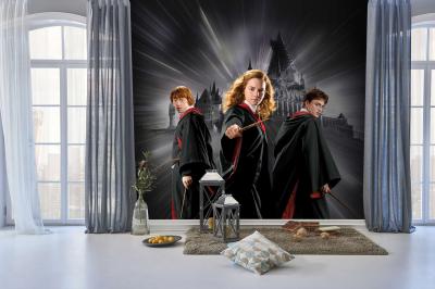 KOD WB2087 | HARRY POTTER POSTER DUVAR KAĞIDI