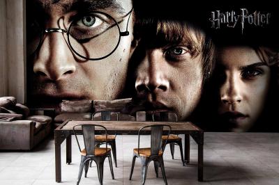 KOD WB2109 | HARRY POTTER POSTER DUVAR KAĞIDI