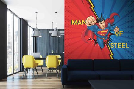 CODE WB2021 |SUPERMAN MURAL WALLPAPER