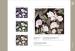 A316 Serie | Flower Pattern Mural Wallpaper