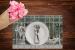 Placemat Collection - ASK2120