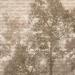 SE312 Series | Tree Design Mural Wallpaper SE312-3